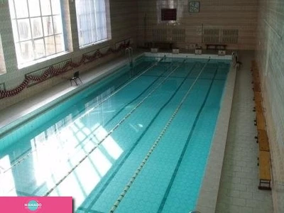 Дельфин, бассейн в Санкт-Петербурге 