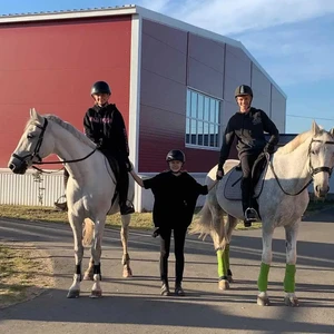 Конно-спортивный комплекс Клевер (Конный клуб)