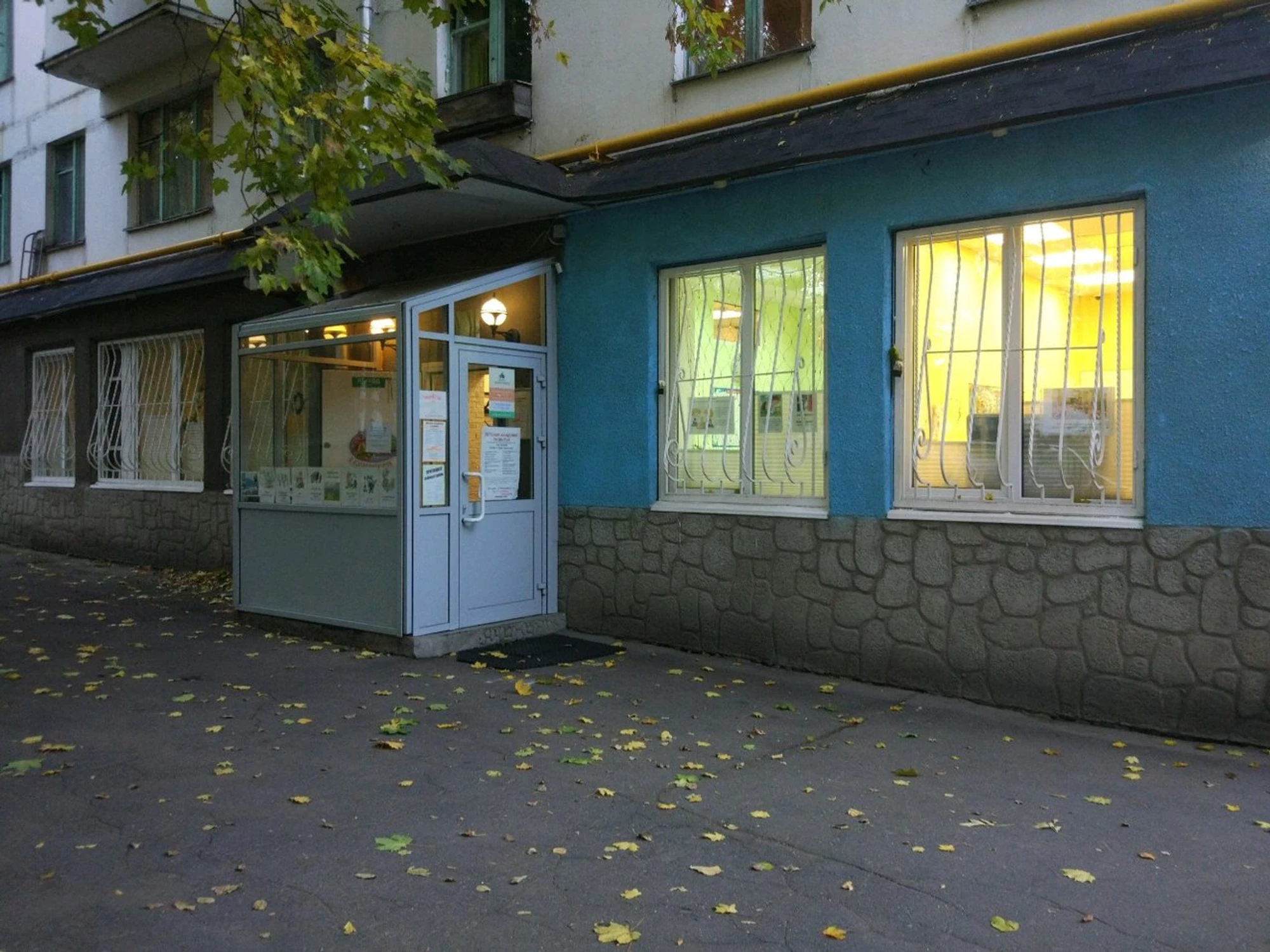 Детская академия развития Дар (Центр развития ребёнка )