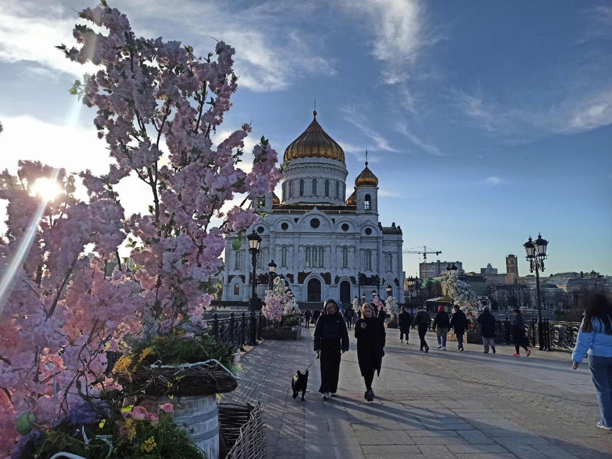 Московский детско-юношеский центр экологии, краеведения и туризма