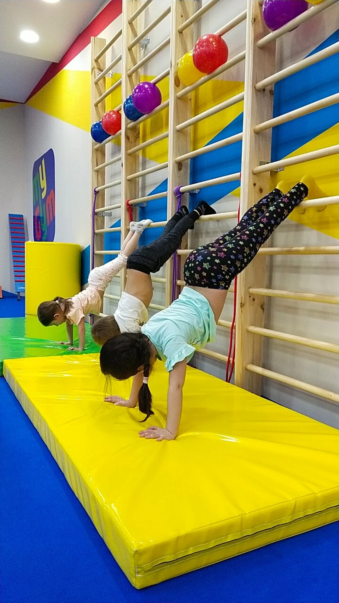 MyGym Детский гимнастический клуб (Спортивный клуб, секция )