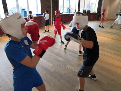 Pavshino boxing school (Спортивная школа )