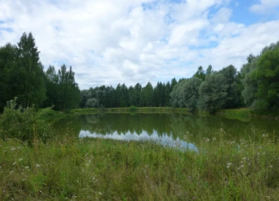 Костромской дендропарк (Лесопарк )