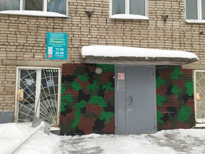 Патриот (Общественная организация )