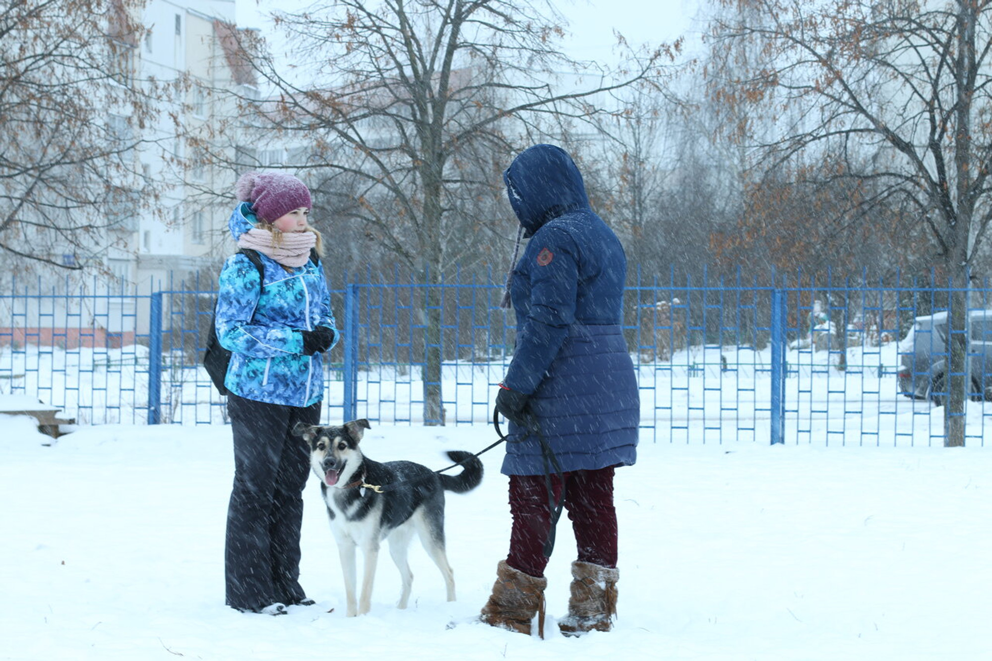 ПёсоПолис (Клуб любителей животных )