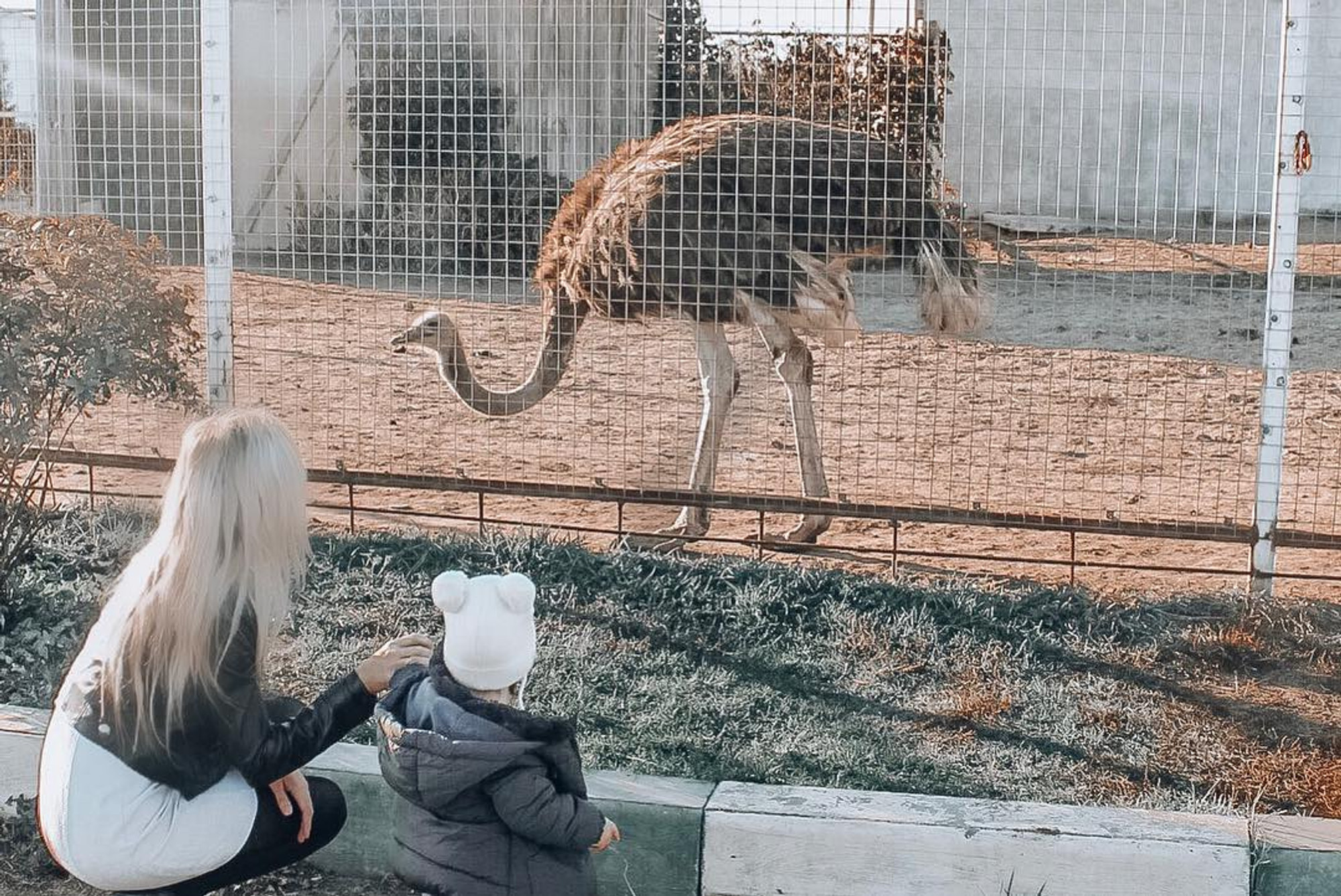 Изображение галлереи