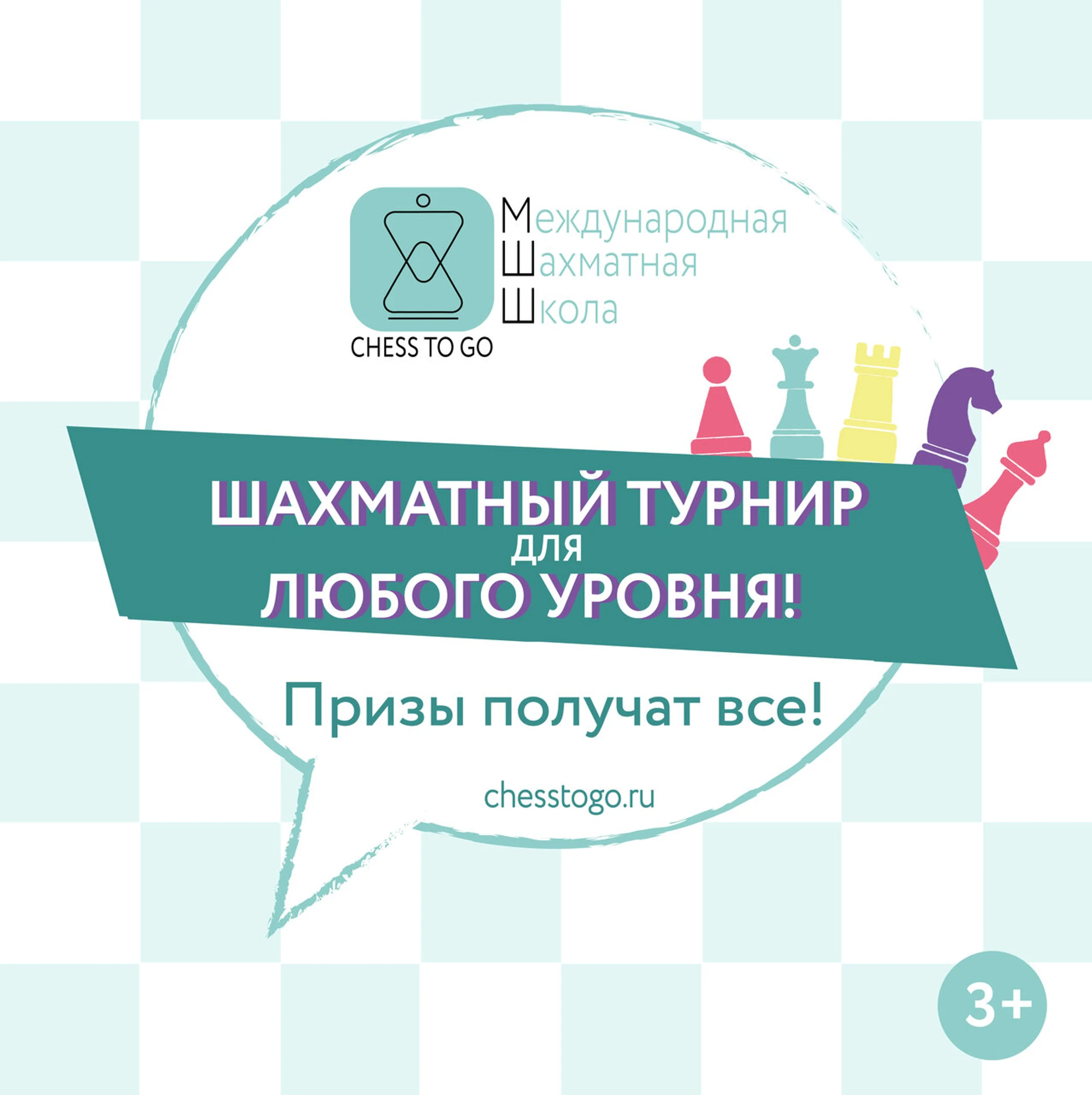 ChessToGo (Дополнительное образование)