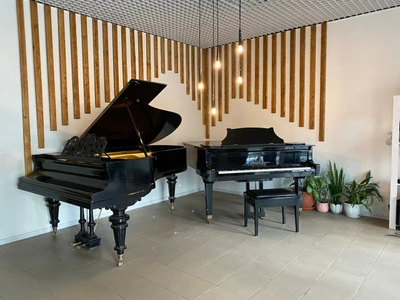 Музыкальная школа Афина (Музыкальное образование )