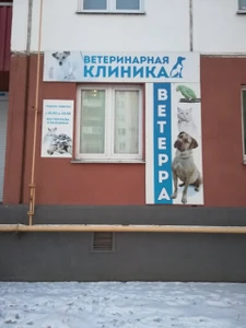 Ветерра (Ветеринарная клиника )