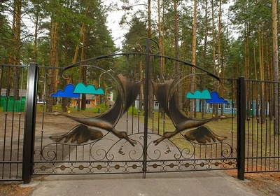 Детский оздоровительный лагерь Журавли (Детский лагерь отдыха)
