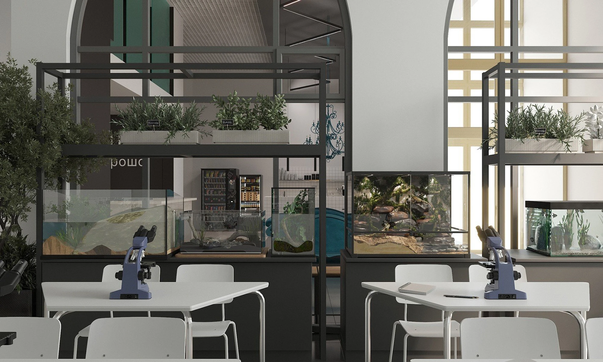 5-9 КЛАССЫ с углубленным изучением наук и математики в "Талантвилле"