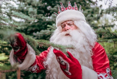 Интерактивная программа «Путешествие по Сказочной Тропе»