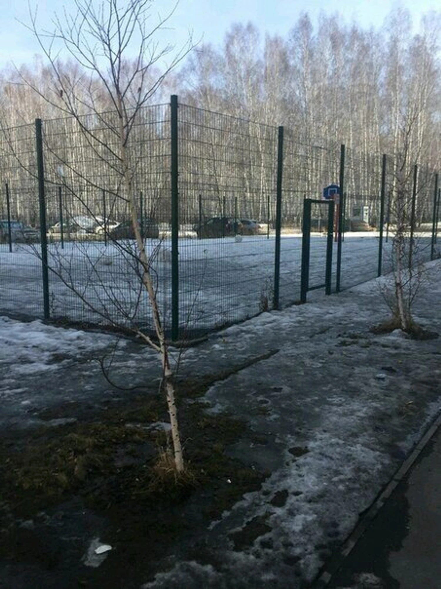 Детская площадка (Детские игровые залы и площадки)