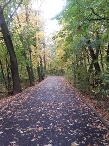 Непейцевский дендропарк (Парк культуры и отдыха)