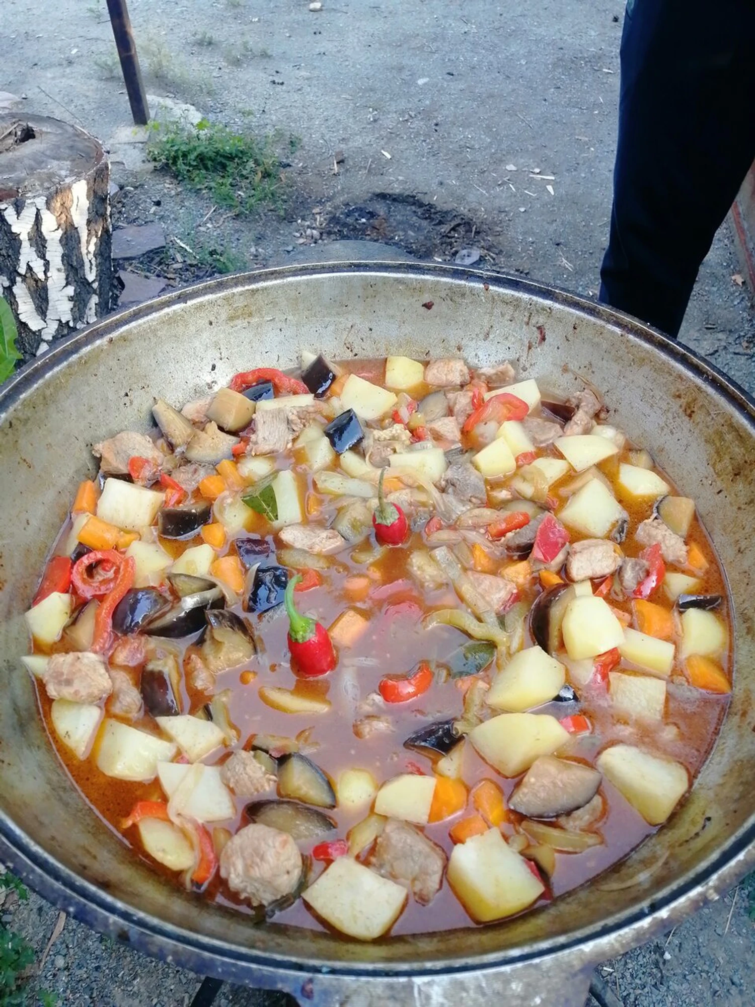 Акуля (Турбаза )
