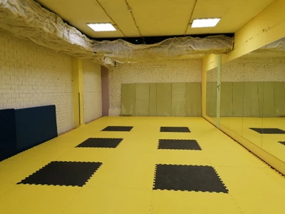 Айкидо Ёсинкан (Спортивный клуб, секция )