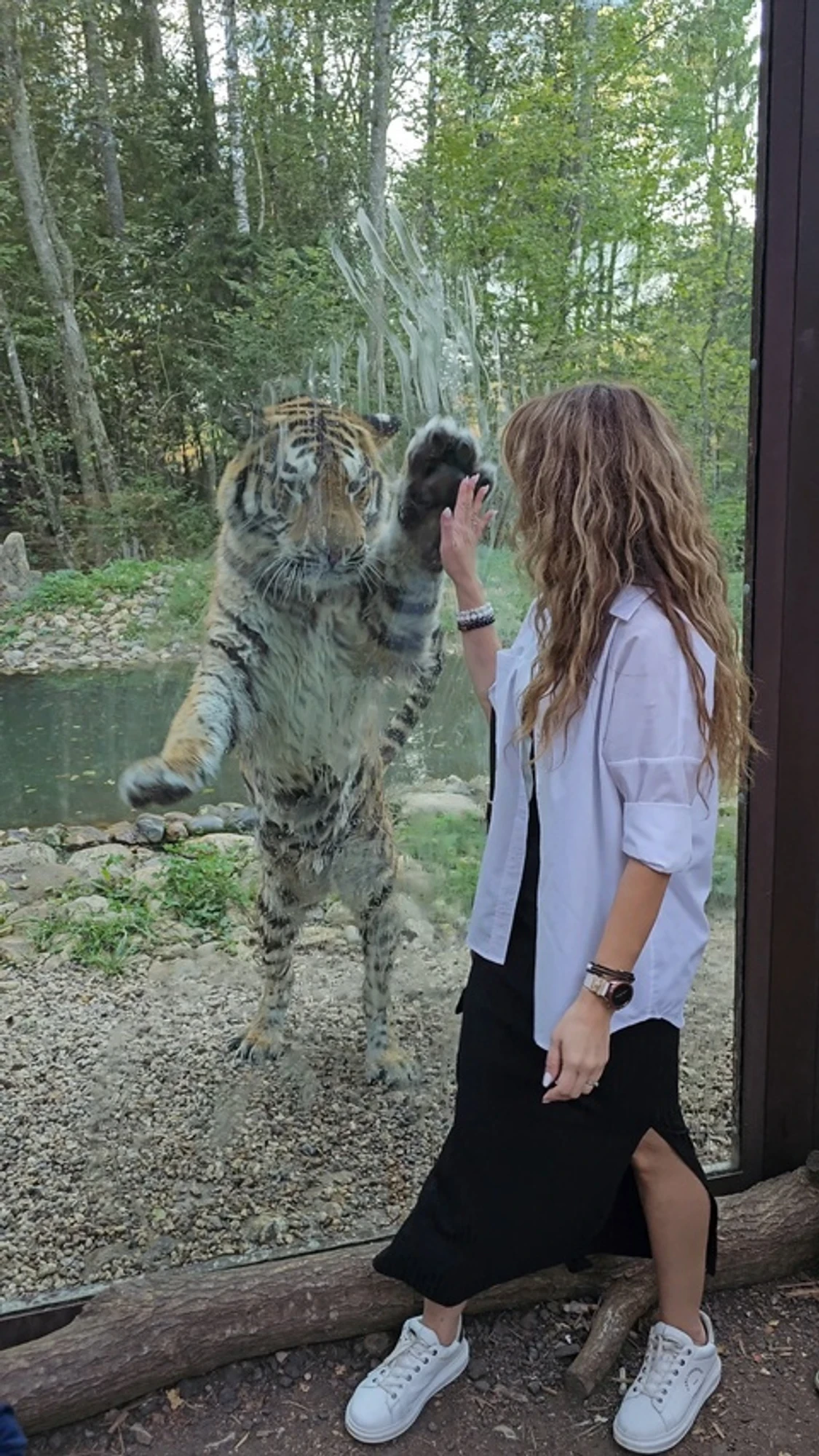 Фото: safaripark50.ru
