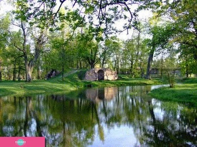 Орловский парк (Стрельна)