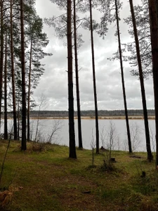 Кемпинг (Кемпинг)