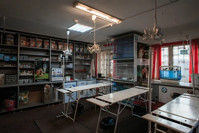 Доберман (Ветеринарная клиника )