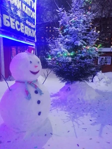 Полесье, каток (Каток)