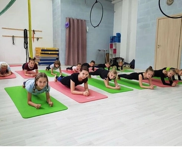 Dance and Circus Project (Спортивный клуб, секция )
