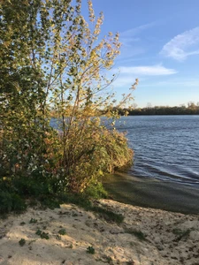 Пляж (Пляж)