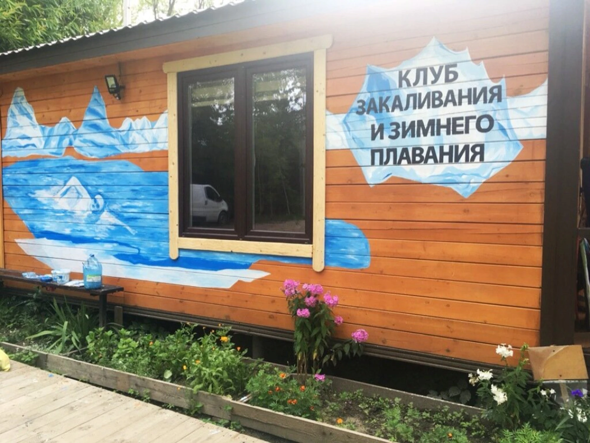 Янтарные моржи (Бассейн )
