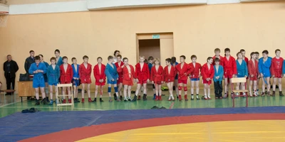 Детско-юношеская федерация спортивной борьбы и спортивных единоборств, офис (Спортивное объединение )