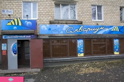 "Аквариум", выставочный зал пресноводных и морских обитателей, Петрозаводск 