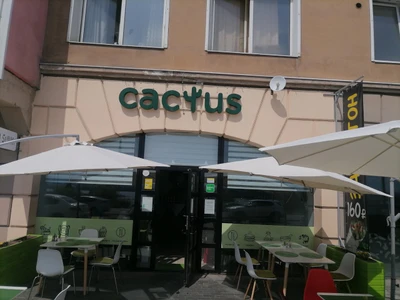 Кактус (Кафе)