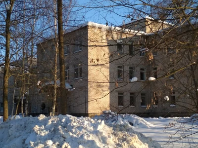 Акушерское отделение (Родильный дом)