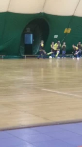 Спортивная школа олимпийского резерва № 9 академия футбола (Спортивная школа )