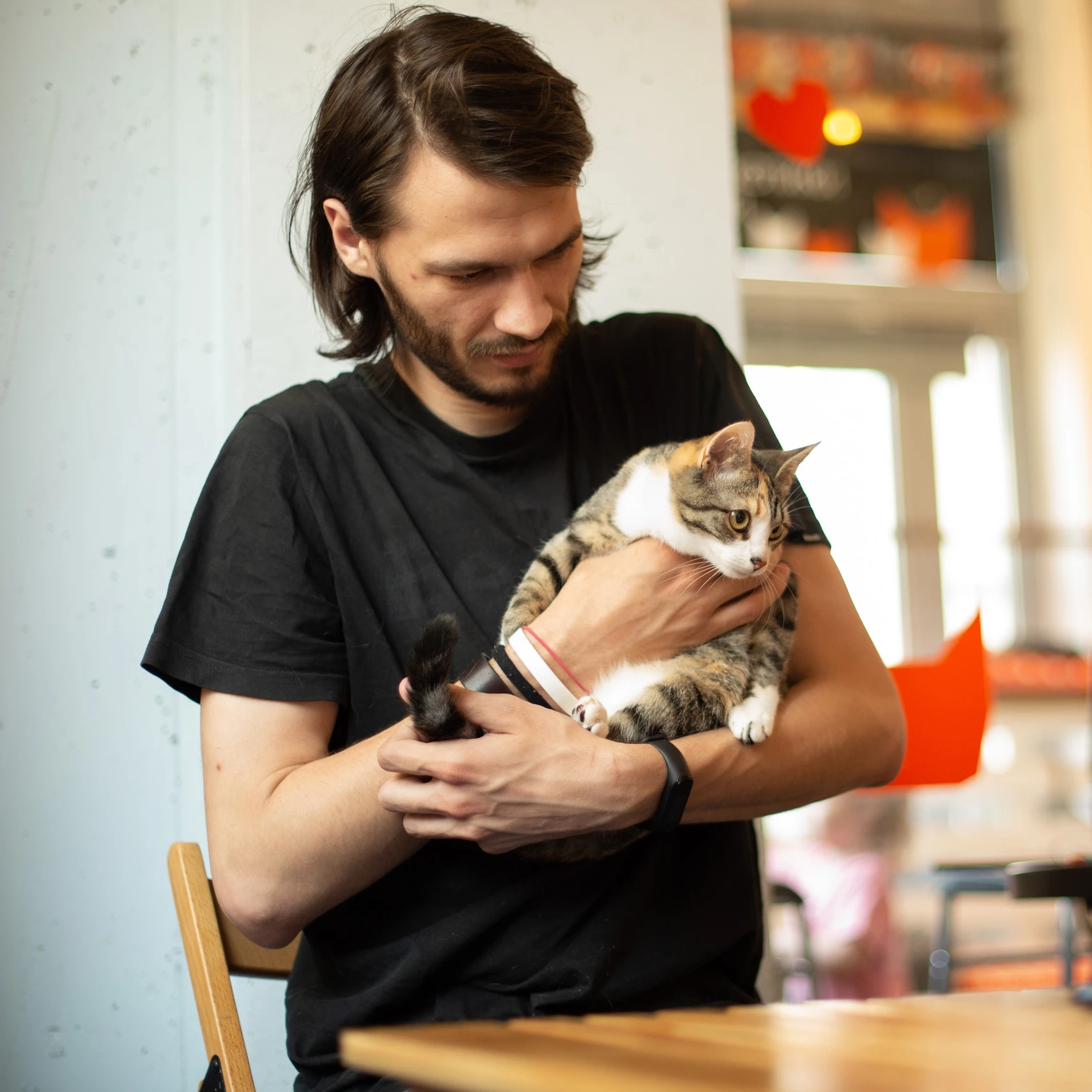 Услуги котоняни от котокафе "Город кошек"