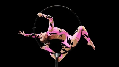 Студия воздушной гимнастики "Lady Air" для детей с 5 лет и взрослых