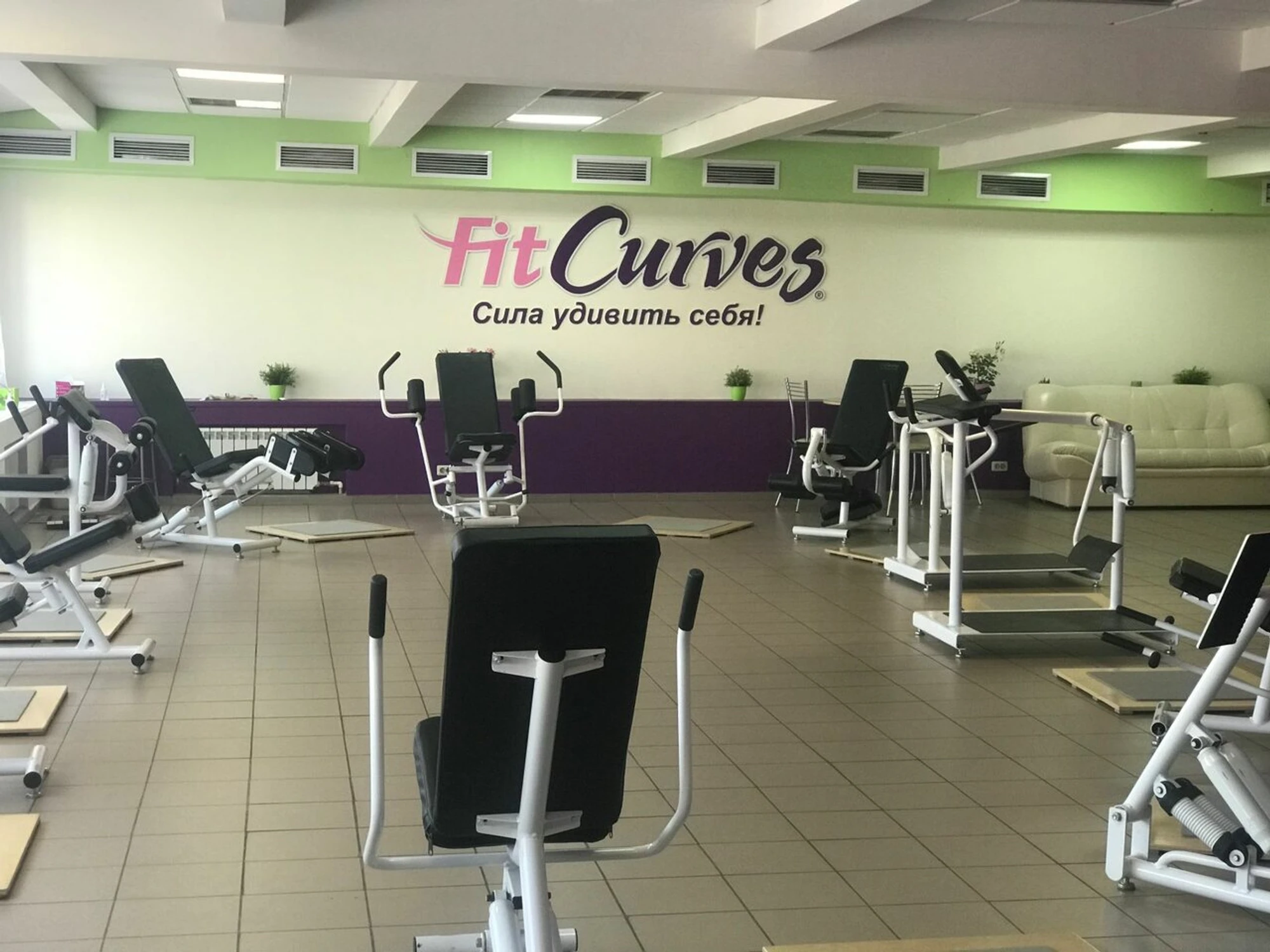 FitCurves (Фитнес-клуб )