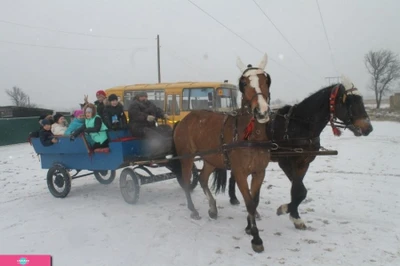 "Дончак", конноспортивный клуб в Волгоградской области 
