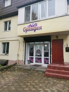 Орхидея (Ногтевая студия )