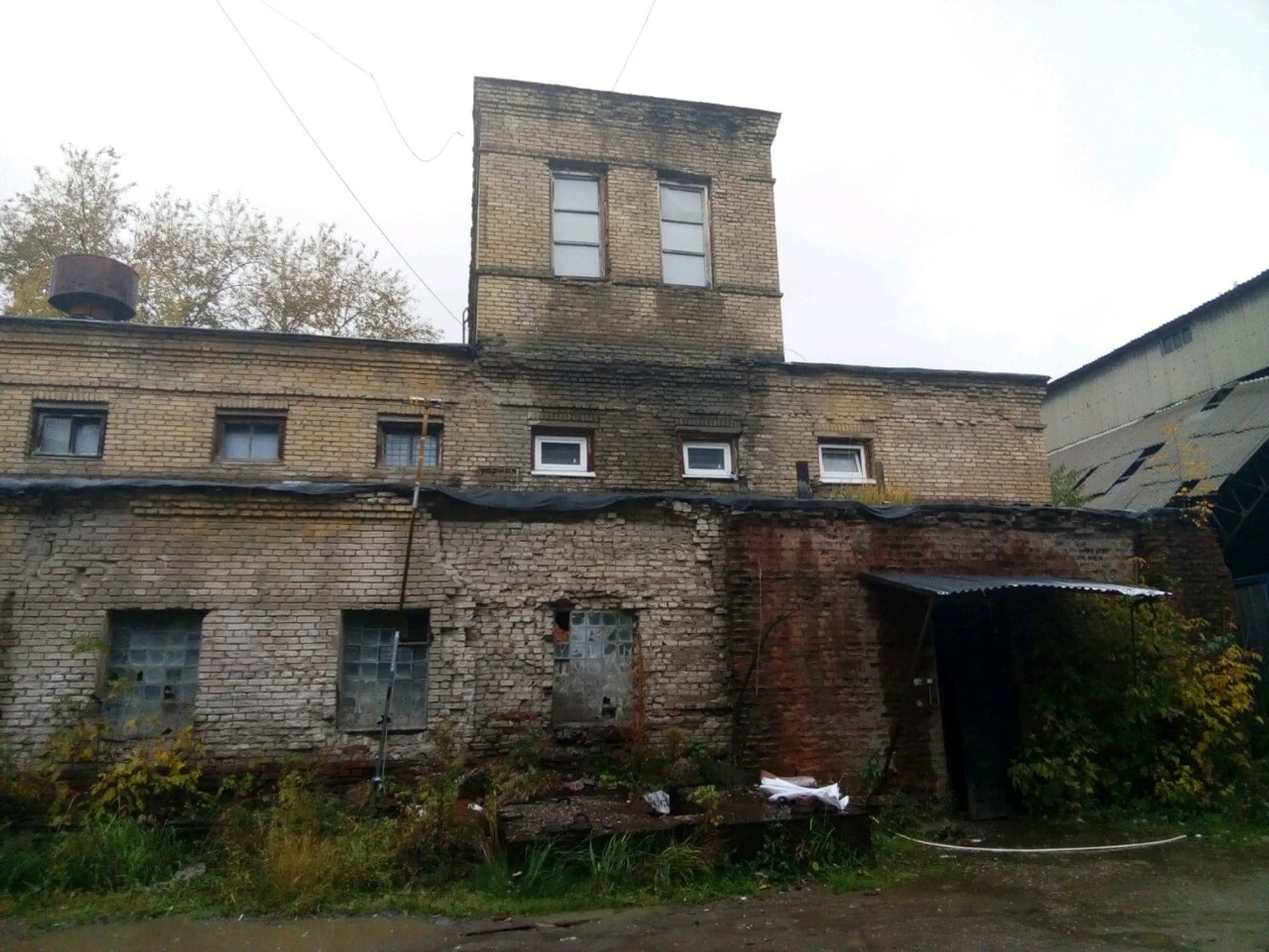 "Треш", квесты