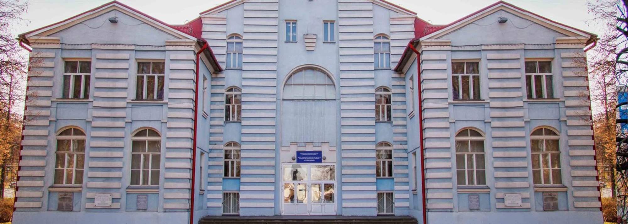 МБУ ДО ЦРТ Созвездие (Дополнительное образование )