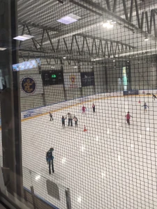 ДЮСШ по Хоккею С Шайбой (Спортивная школа)