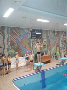 Вега (Бассейн )