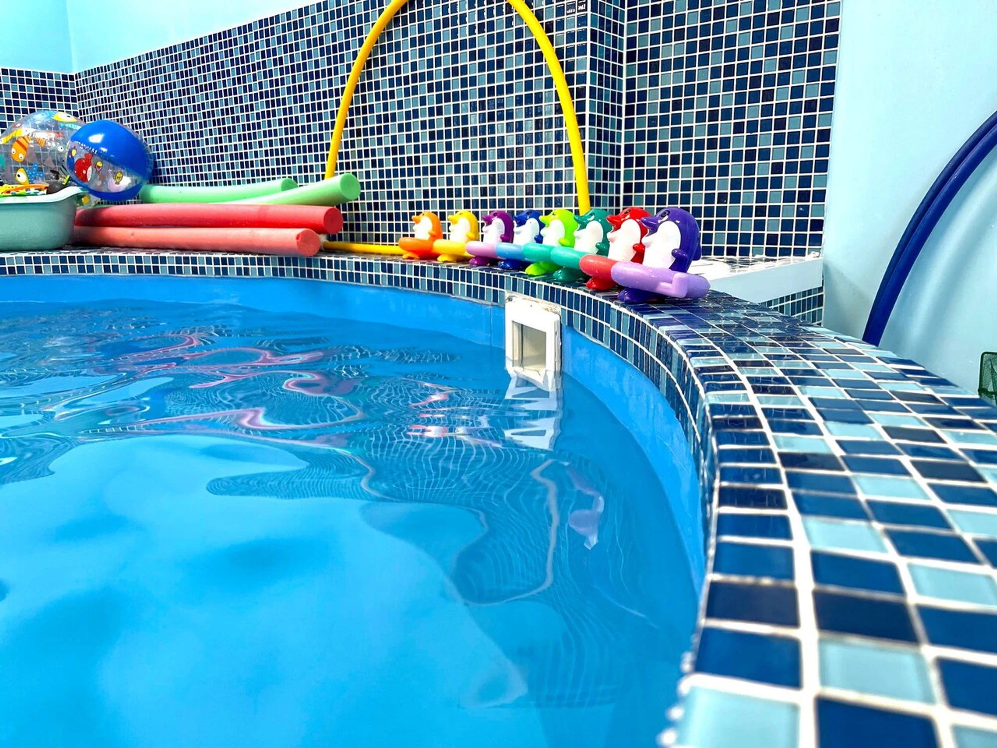 Pool Kids (Бассейн )