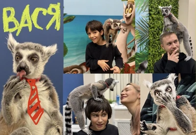 Многодетным семьям скидки! ❤️