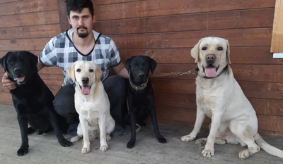 Наш дом (Гостиница для животных)