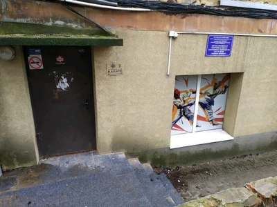 ДЮСШ спортивных единоборств (Спортивная школа)