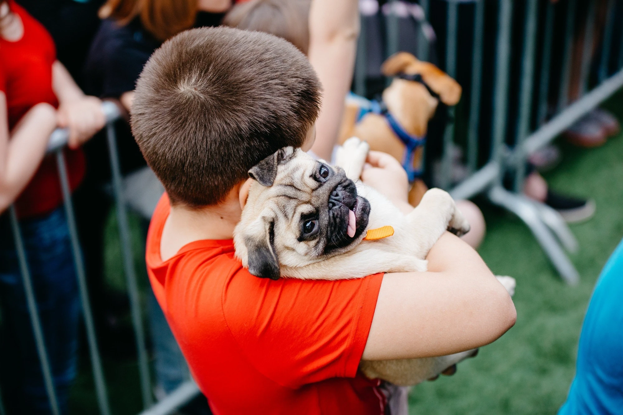 Фестиваль Petshop Days в усадьбе Воронцово