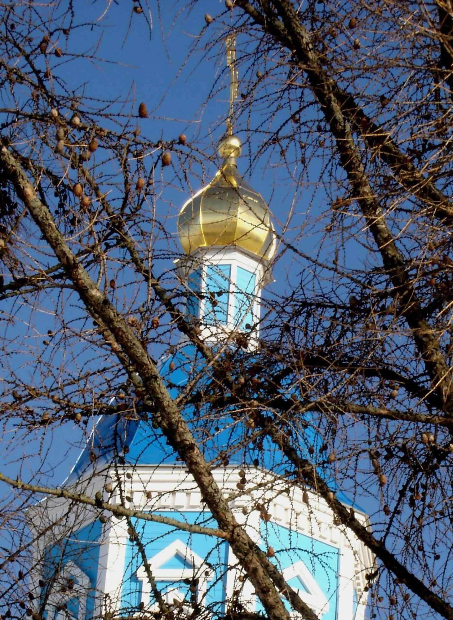 Церковь иконы Божией Матери Знамение в Арзамасе (Православный храм)
