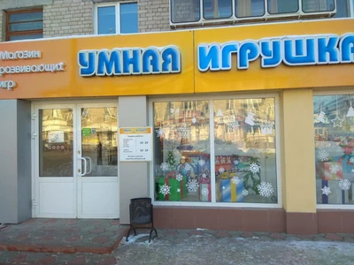 Умная игрушка (Детские игрушки и игры )