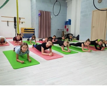 Dance and Circus Project (Спортивный клуб, секция )